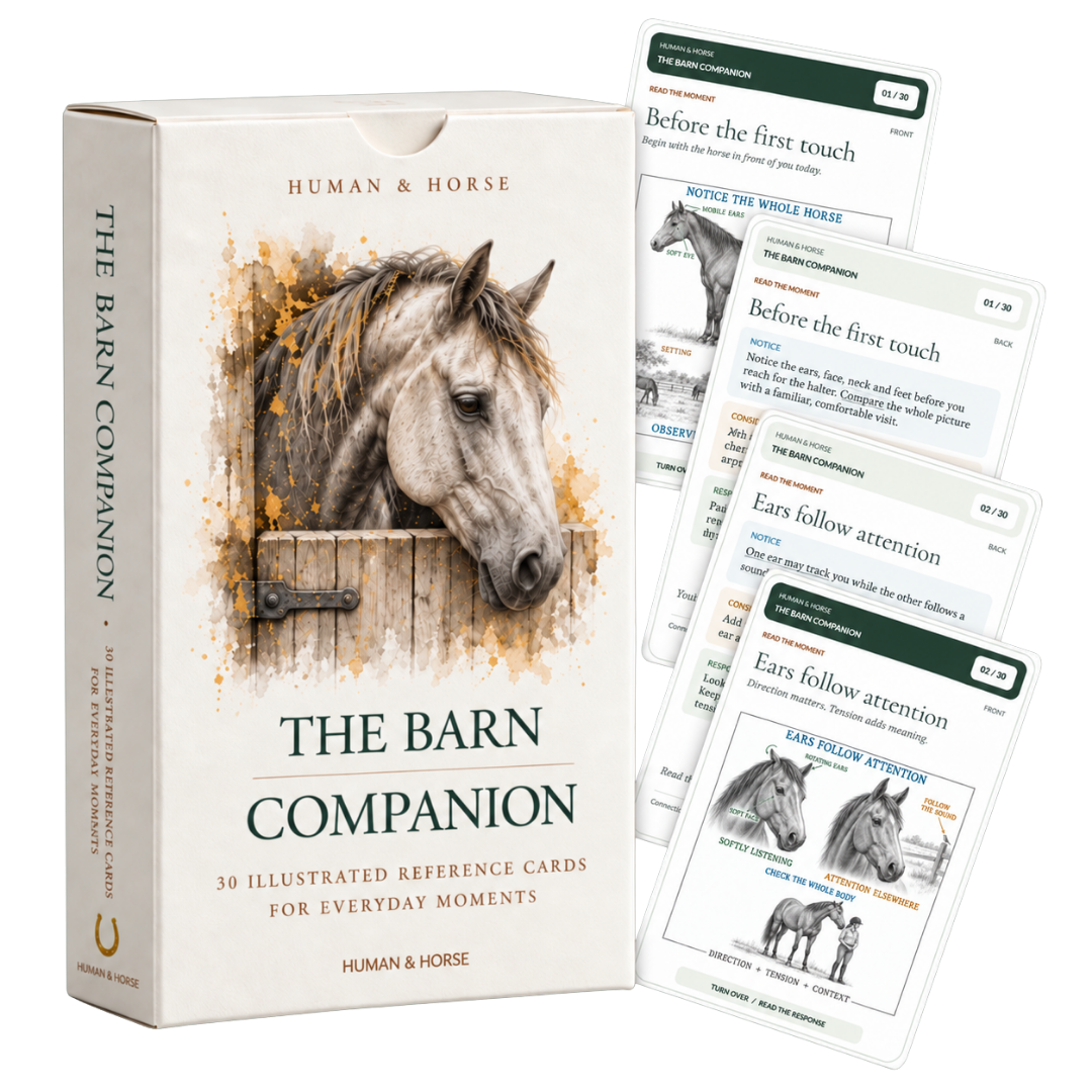 The Barn Companion